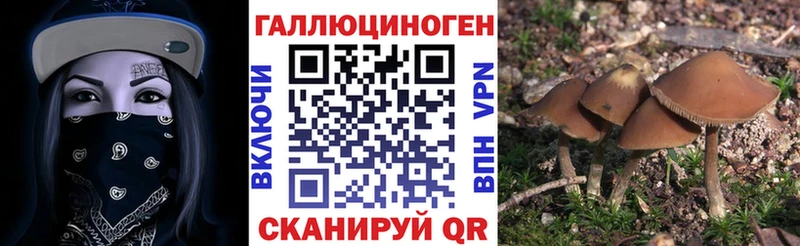 Галлюциногенные грибы прущие грибы  Усолье-Сибирское 